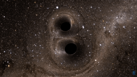 A starry backgroundm with two black holes in the centre of the image. The black holes spin around each other and eventually merge, making the other stars move and shake as they do so.